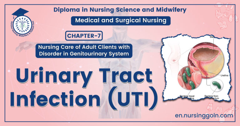 Urinary Tract Infection (UTI) | Chapter 7 | Medical And Surgical Nursing