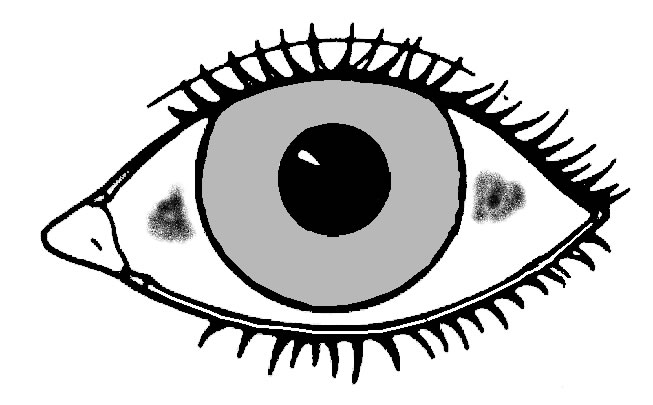 Concept of Xerophthalmia