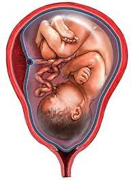 Post Term Labor | Chapter 17 | Midwifery For Diploma In Nursing